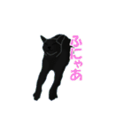 猫々しいすたんぷ（個別スタンプ：23）
