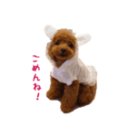 トイプードルななちゃん part2（個別スタンプ：2）