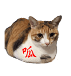 Fager＆Mary（個別スタンプ：3）