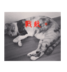Fager＆Mary（個別スタンプ：5）
