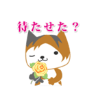 うろねこ＿カモ（camo）（個別スタンプ：10）