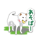 うちの犬が一番2（個別スタンプ：1）