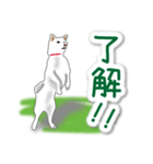 うちの犬が一番2（個別スタンプ：2）