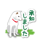 うちの犬が一番2（個別スタンプ：3）