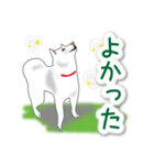 うちの犬が一番2（個別スタンプ：5）