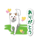 うちの犬が一番2（個別スタンプ：6）