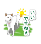 うちの犬が一番2（個別スタンプ：8）