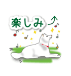 うちの犬が一番2（個別スタンプ：11）