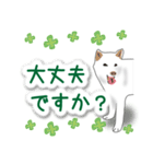 うちの犬が一番2（個別スタンプ：12）