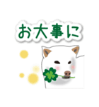 うちの犬が一番2（個別スタンプ：13）