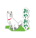 うちの犬が一番2（個別スタンプ：14）