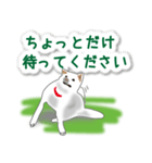 うちの犬が一番2（個別スタンプ：15）