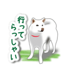 うちの犬が一番2（個別スタンプ：21）