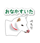 うちの犬が一番2（個別スタンプ：22）