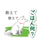 うちの犬が一番2（個別スタンプ：23）