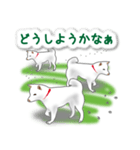 うちの犬が一番2（個別スタンプ：24）