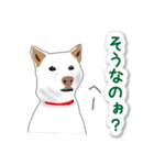 うちの犬が一番2（個別スタンプ：26）