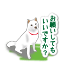 うちの犬が一番2（個別スタンプ：27）