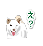 うちの犬が一番2（個別スタンプ：29）