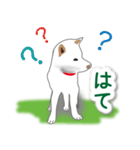 うちの犬が一番2（個別スタンプ：30）