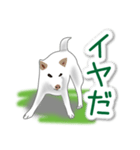 うちの犬が一番2（個別スタンプ：33）