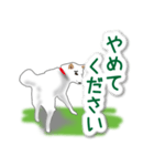 うちの犬が一番2（個別スタンプ：34）