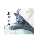 おはようチルチル（日常編）（個別スタンプ：2）