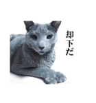 おはようチルチル（日常編）（個別スタンプ：4）