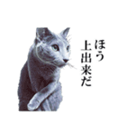 おはようチルチル（日常編）（個別スタンプ：5）