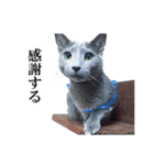 おはようチルチル（日常編）（個別スタンプ：7）