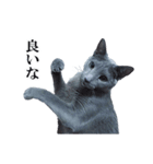 おはようチルチル（日常編）（個別スタンプ：9）