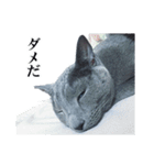 おはようチルチル（日常編）（個別スタンプ：10）