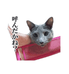 おはようチルチル（日常編）（個別スタンプ：11）