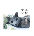 おはようチルチル（日常編）（個別スタンプ：13）