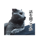 おはようチルチル（日常編）（個別スタンプ：15）