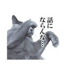 おはようチルチル（日常編）（個別スタンプ：16）