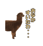 凄く使いやすい動物達（個別スタンプ：39）