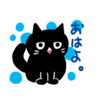 エキゾチックショートヘアの黒猫ムースくん（個別スタンプ：1）