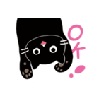 エキゾチックショートヘアの黒猫ムースくん（個別スタンプ：3）