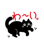 エキゾチックショートヘアの黒猫ムースくん（個別スタンプ：5）