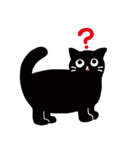 エキゾチックショートヘアの黒猫ムースくん（個別スタンプ：13）