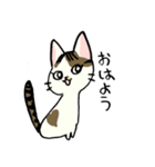 小梅ちゃん（個別スタンプ：1）