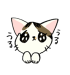 小梅ちゃん（個別スタンプ：6）