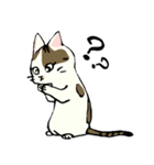 小梅ちゃん（個別スタンプ：17）