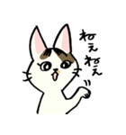 小梅ちゃん（個別スタンプ：19）