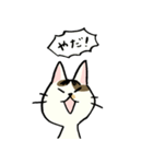 小梅ちゃん（個別スタンプ：24）