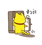 Tommy Mecute Daily 1（個別スタンプ：18）