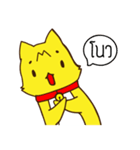 Tommy Mecute Daily 1（個別スタンプ：24）