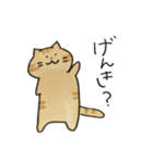 茶トラねこスタンプ（個別スタンプ：1）