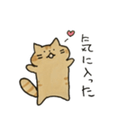 茶トラねこスタンプ（個別スタンプ：6）